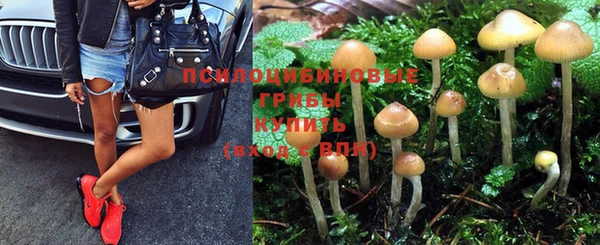 стафф Абаза