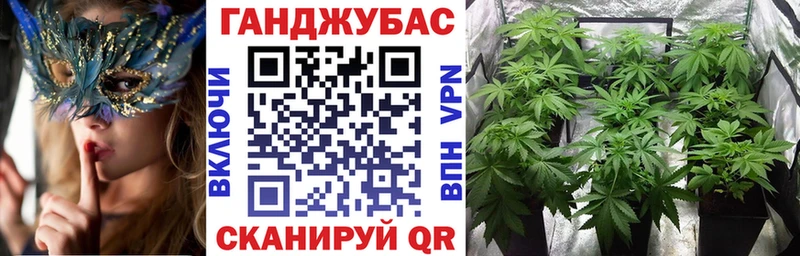 Конопля планчик  Псков 